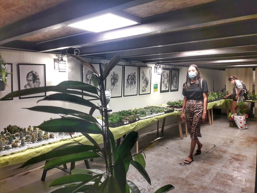 grande vente de plantes montpellier