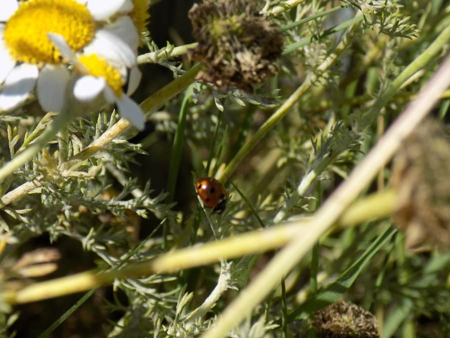 domaine de méric avis parc montpellier
