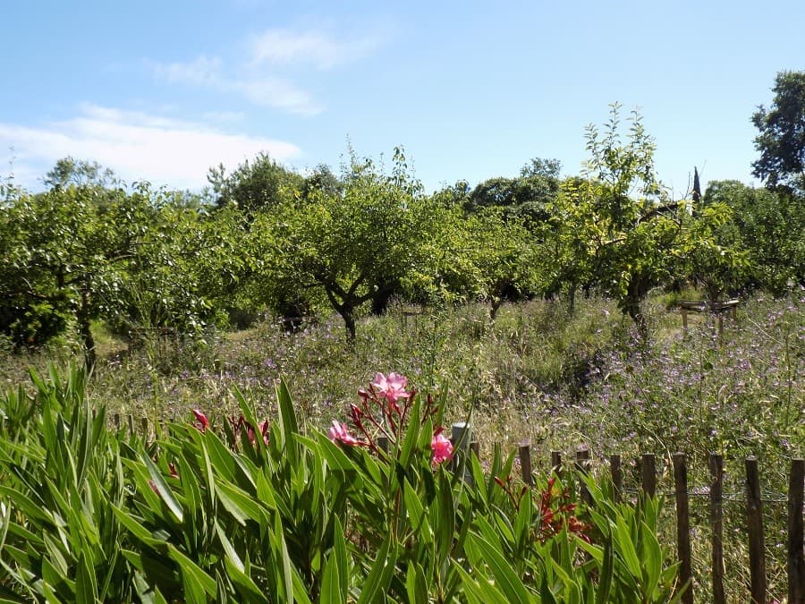 domaine méric avis jardin anglais montpellier
