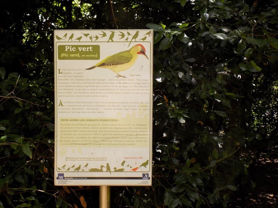 domaine méric avis sortie en famille montpellier