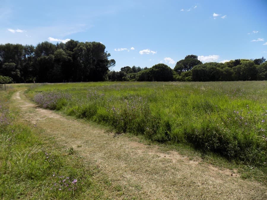 domaine de méric avis