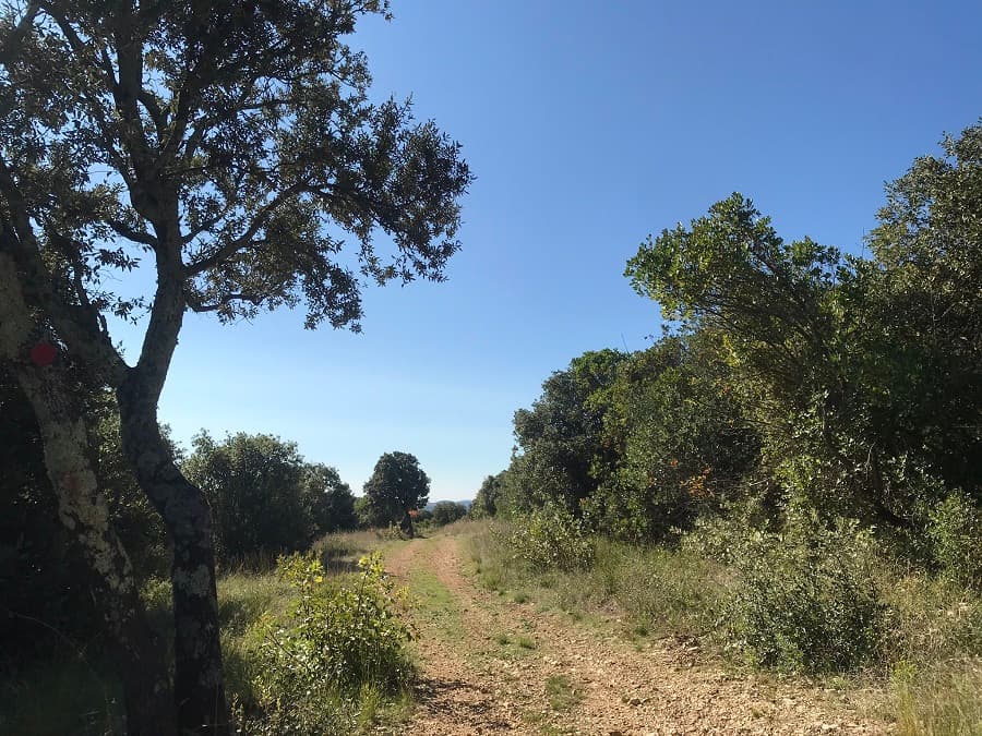 randonnée montpellier balade clapas montpellier