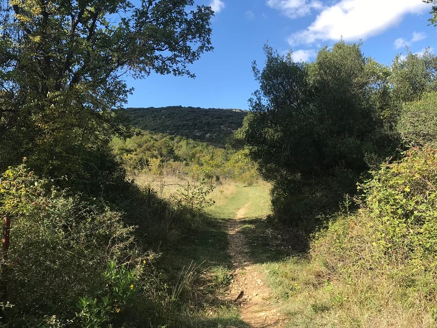 randonnée montpellier randonnée pédestre autour de Montpellier