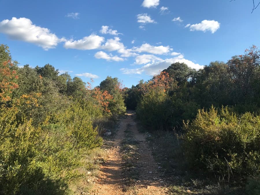 randonnée montpellier randonnée pic saint loup