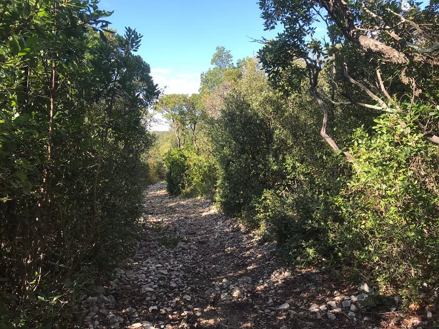 randonnée montpellier village médieval montpellier