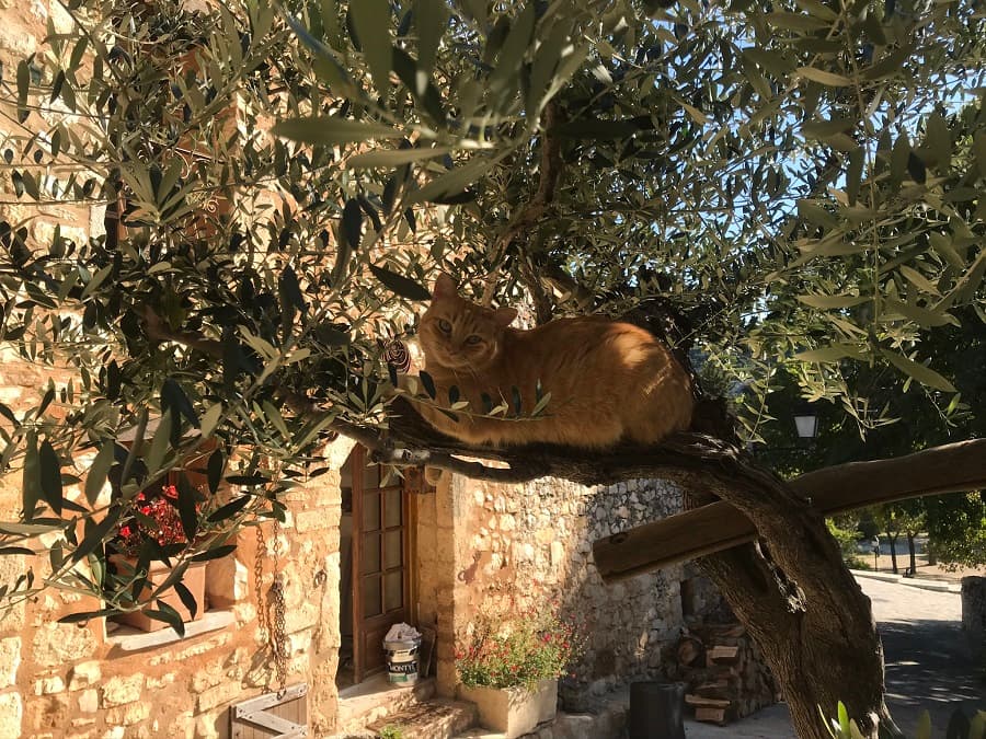 randonnée montpellier promenade près de montpellier