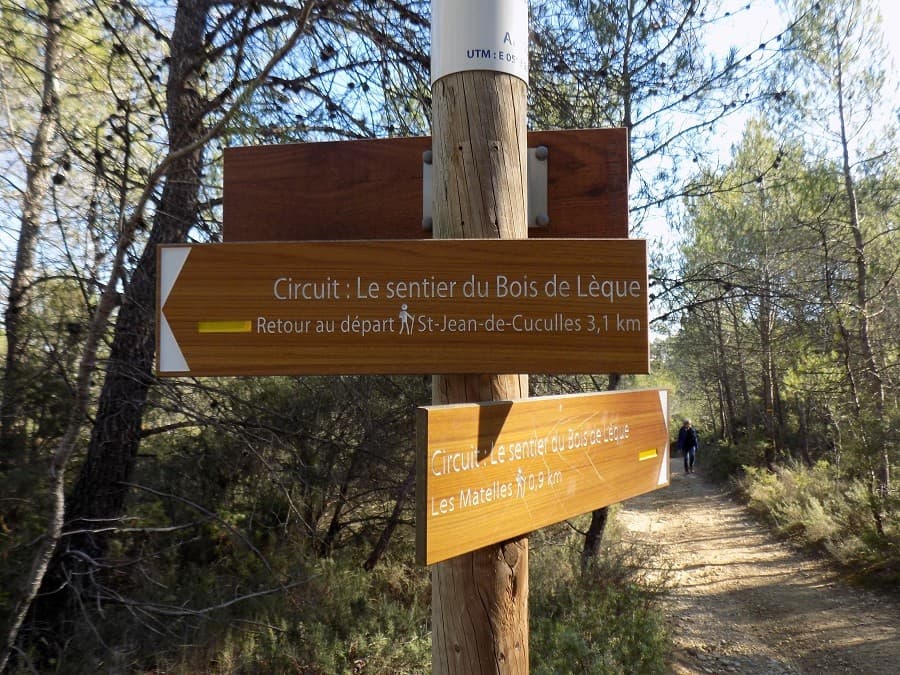 randonnée du bois de lèque circuit randonnée hérault