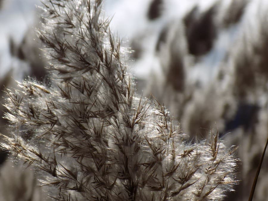 Lac du Salagou promenade près de Montpellier