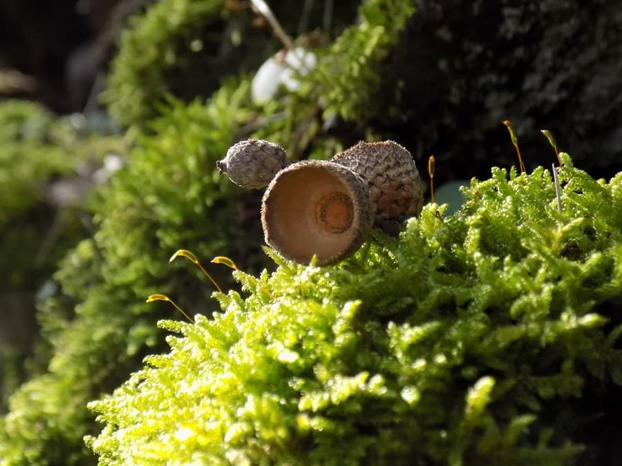 Lac du Salagou Randonnée facile salagou