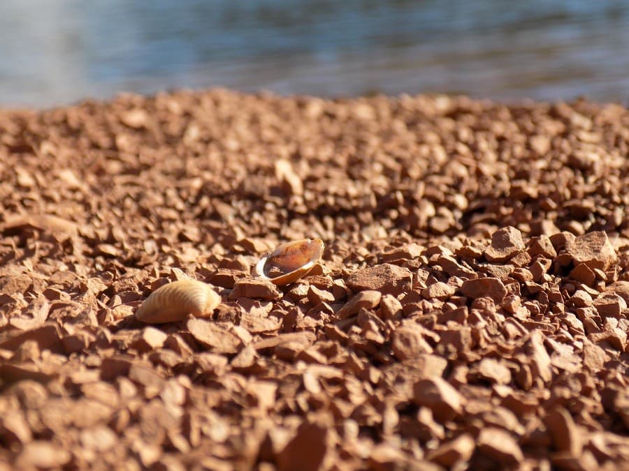 Lac du Salagou site naturel hérault