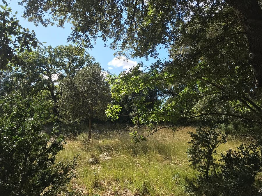 domaine de roussieres herault balade viols le fort