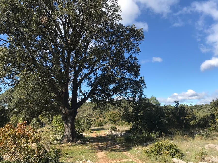 domaine de roussieres herault roussières hérault