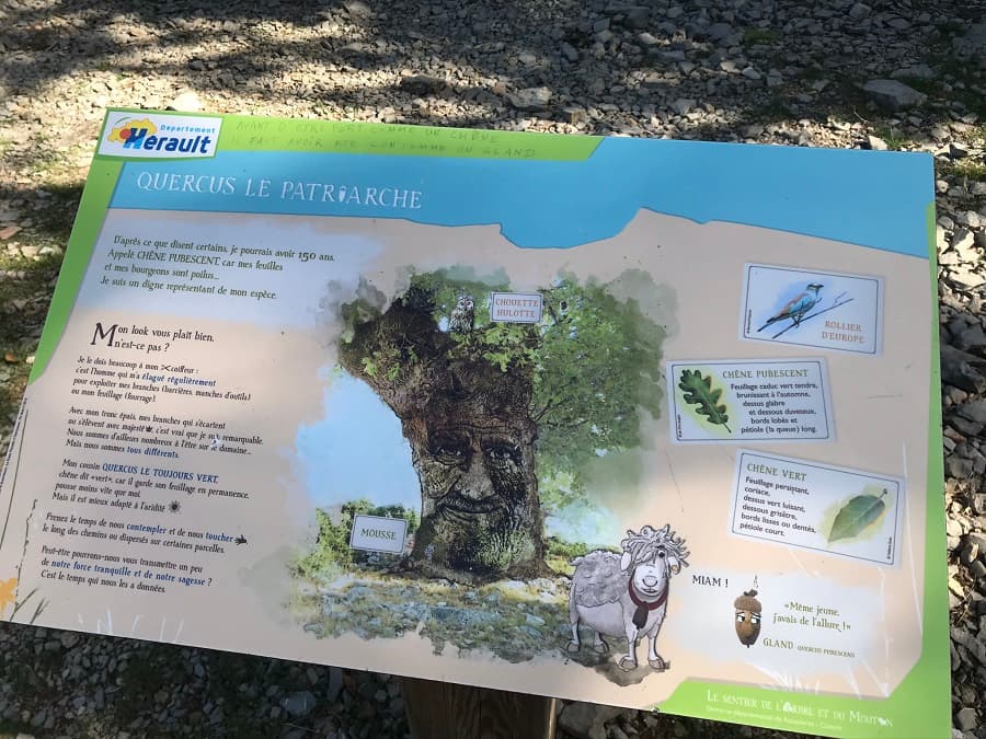 domaine de roussieres herault dolmen hérault