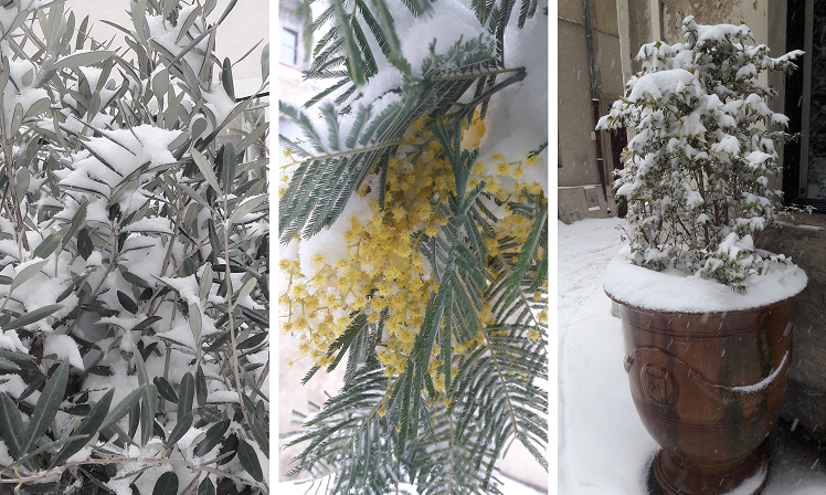 Montpellier sous la neige février 2018