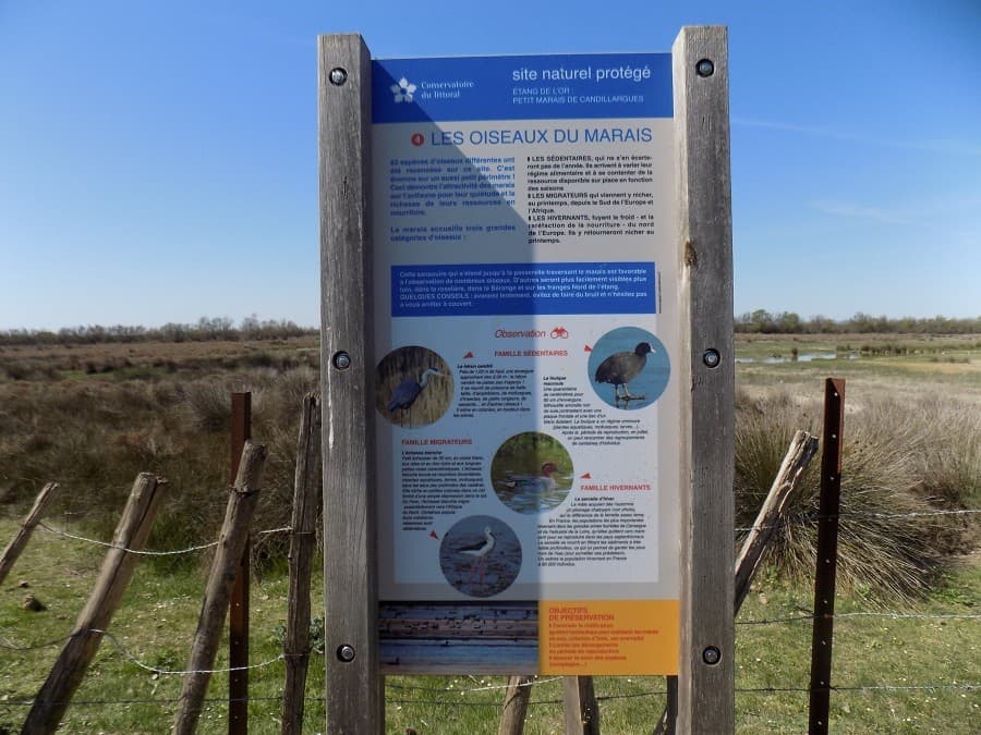 petit marais de Candillargues