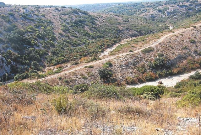 5 randonnées à moins de 30km de Montpellier vallons des blaquières avens capitelles pignan