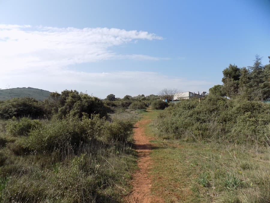 mont saint bauzille sortie près de montpellier
