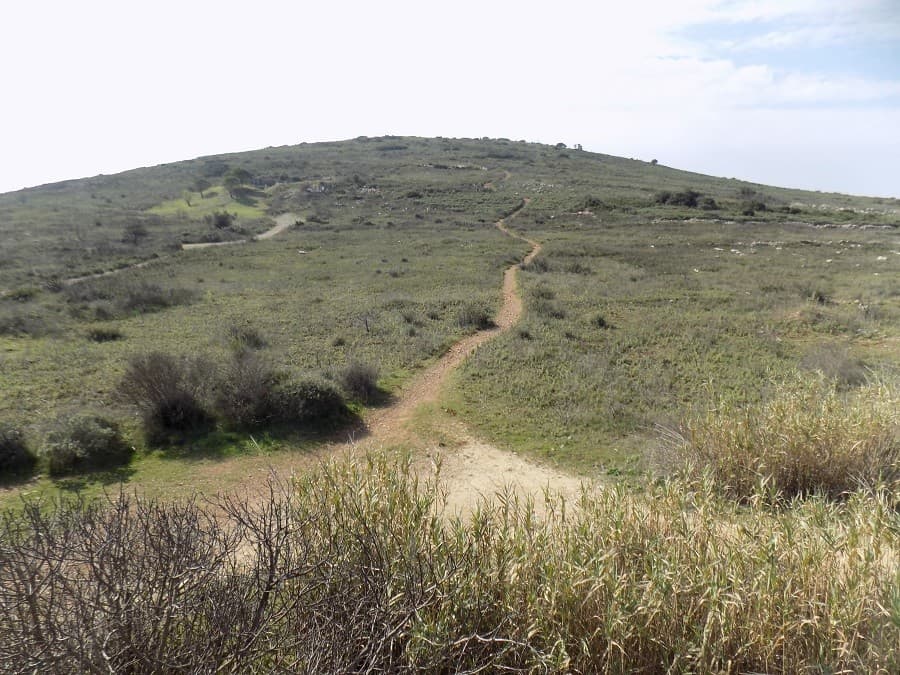 mont saint bauzille panorama montpellier