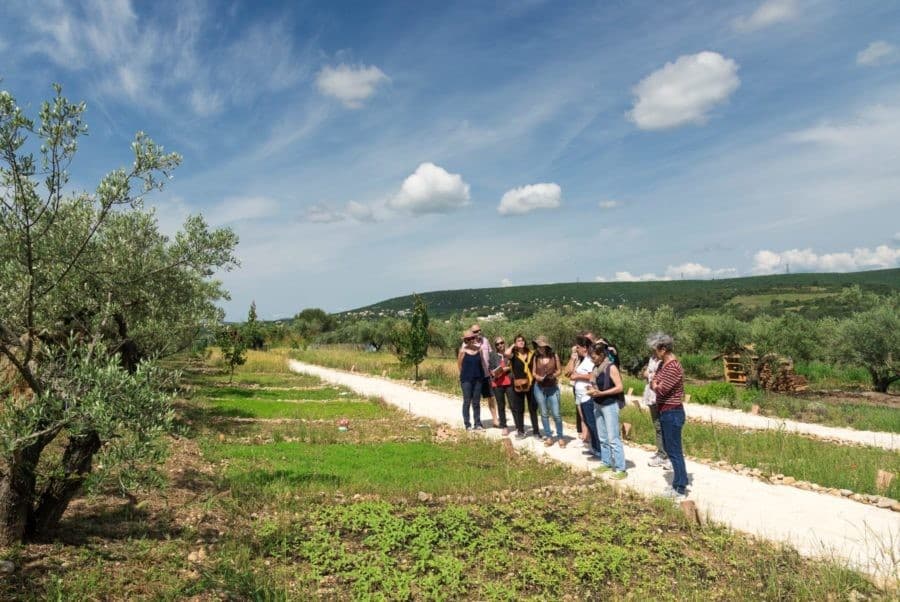 Domaine de l'Oulivie Combaillaux Ateliers Secrets d'Herboriste de l'Oulivie
