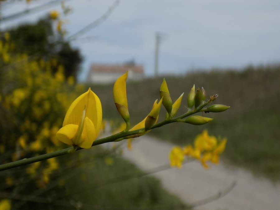 balade rives du vidourle randonnée en famille