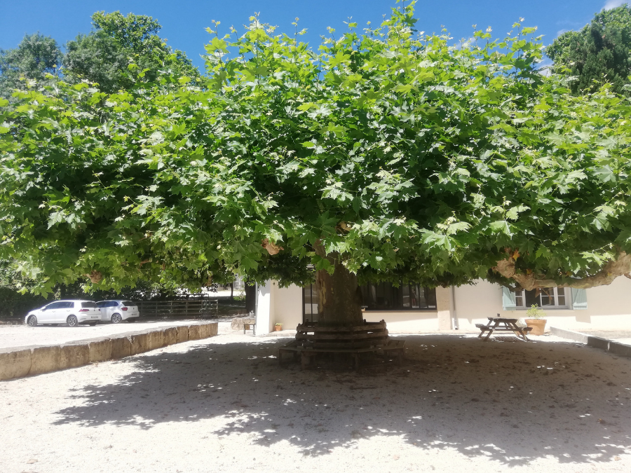 Domaine de la Jasse Domaine de la Jasse Cambaillaux