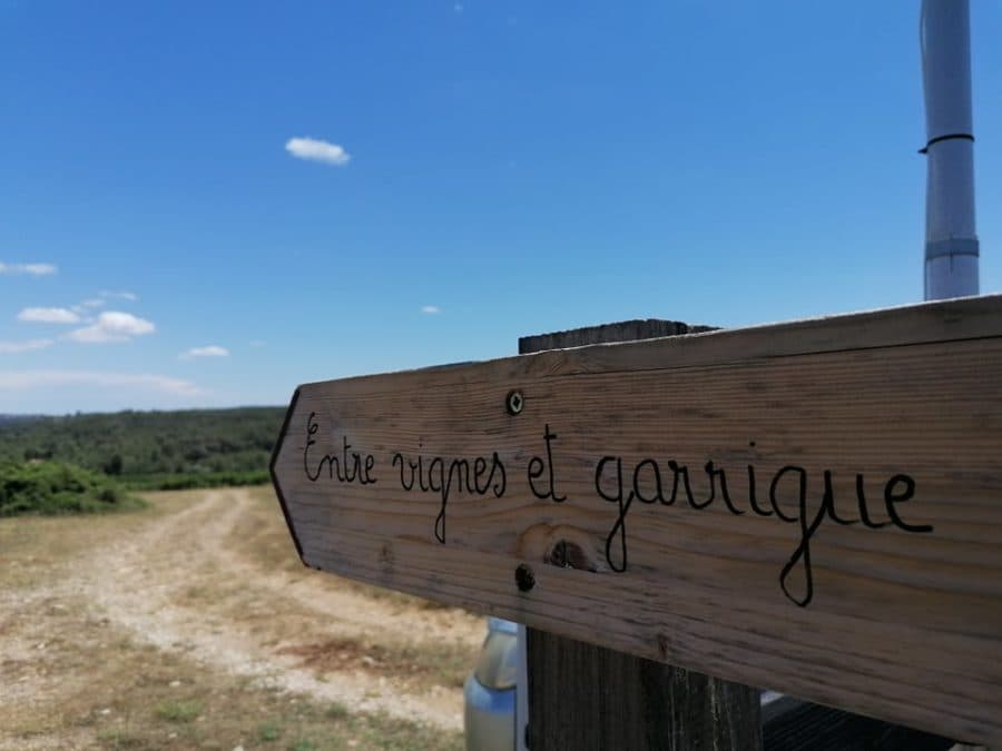 Wine Tour La visite guidée se fait un tuture