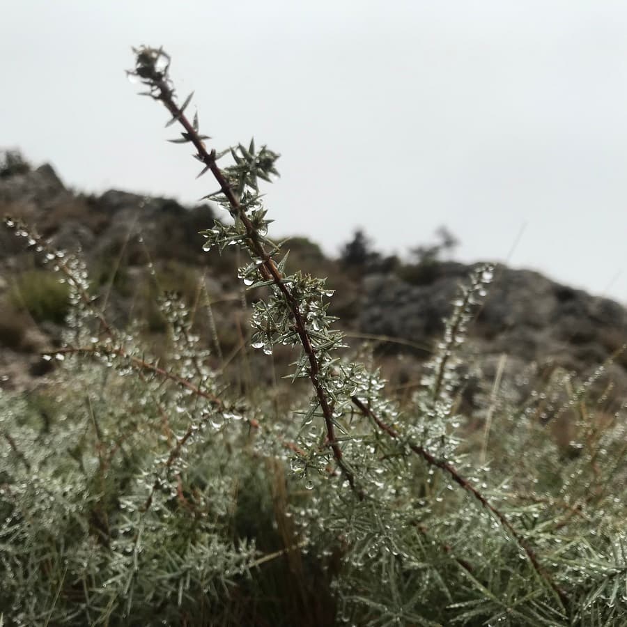 mont saint baudille balade massif de la séranne