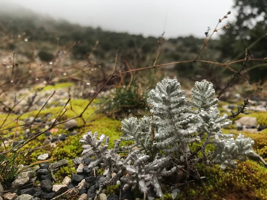 mont saint baudille balade montpeyroux