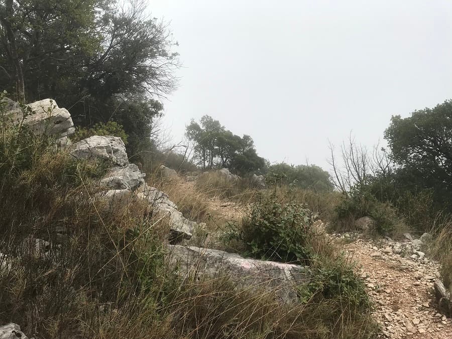 mont saint baudille boucle du mont saint baudille randonnée
