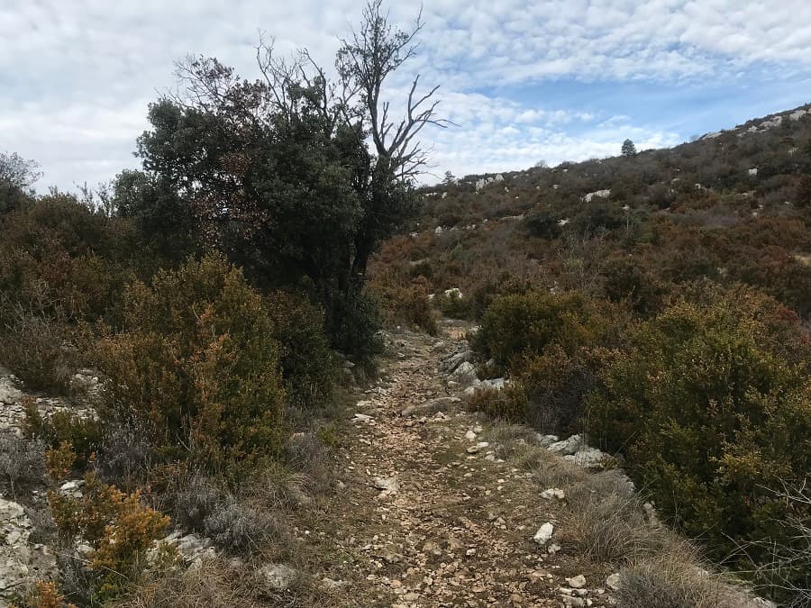 mont saint baudille randonnées hérault