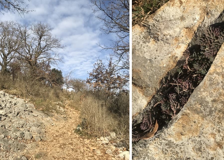 balade ravins des arcs randonnée facile autour de montpellier
